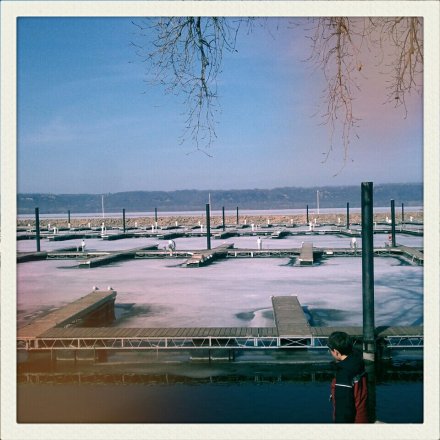 524731_10151161169697706_1033159953_n