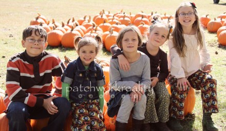Patchwork pumpkin patch